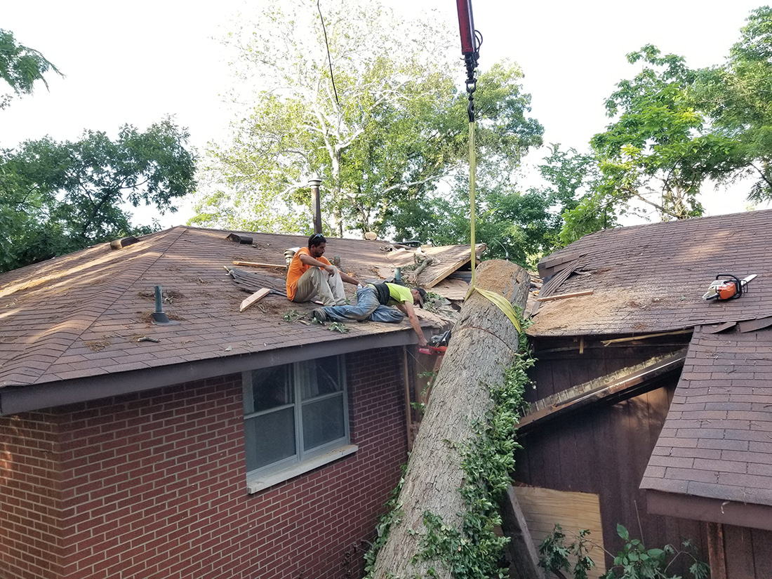 MadCow Tree Service cleaning up debris left over from storm damage - Bethalto, IL