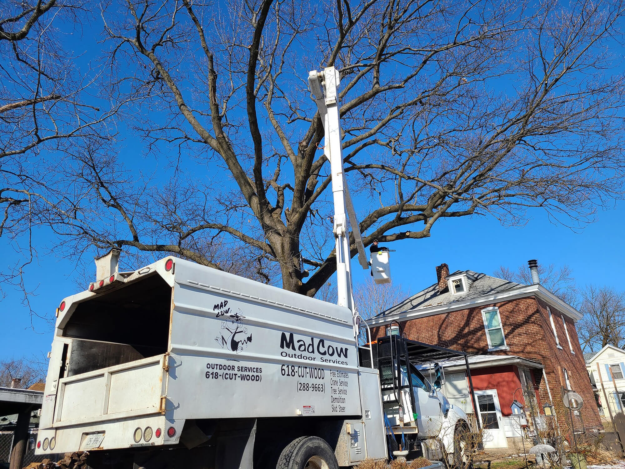 crane raising madcow tree service worker in jerseyville il