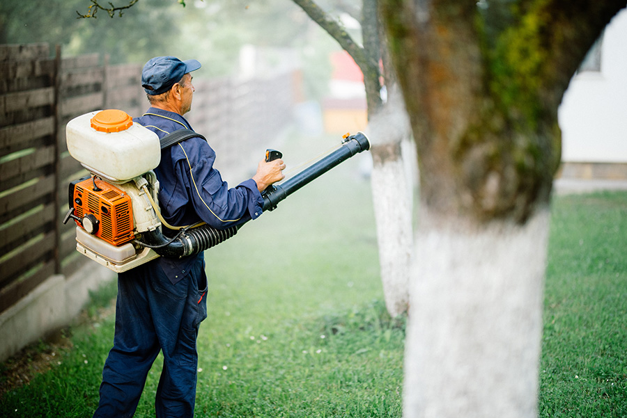 ISA-Certified Arborist uses eco-friendly pest control solutions to eliminate the presence of pesky bugs without harming your tree, grass, or home - ALton, IL