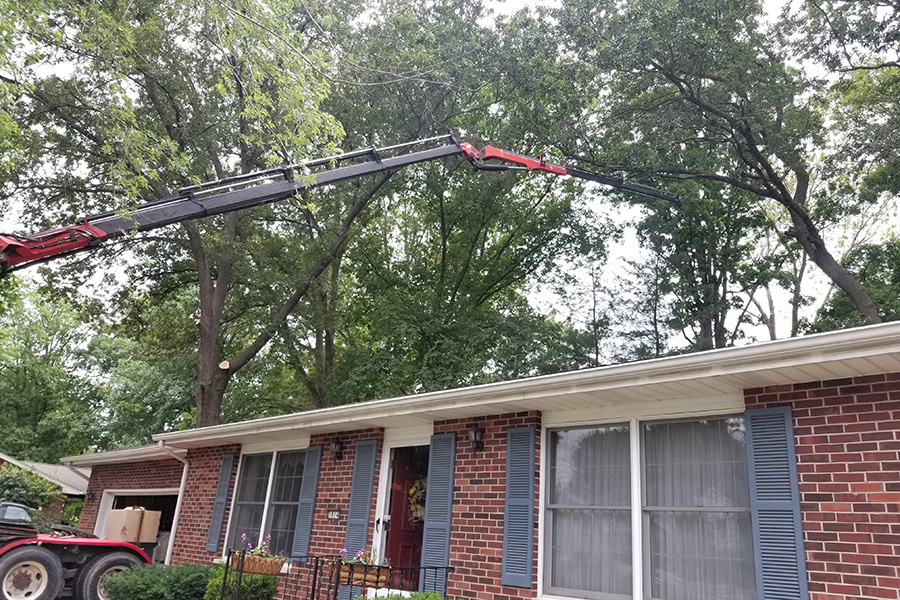 MadCow Tree Service, Tree removal in progress with use of crane - Alton, IL