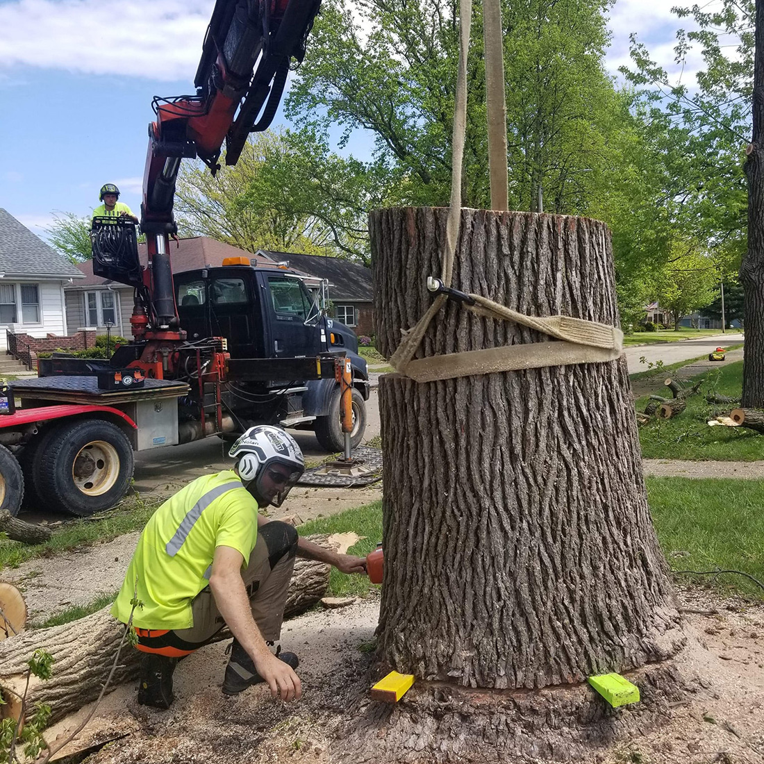 Stump removal with aid of crane services - final step of tree removal - Alton, IL