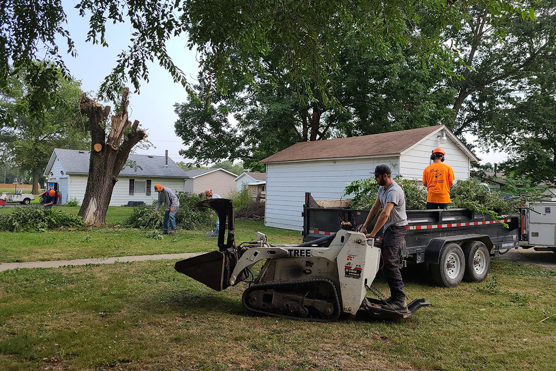 MadCow Tree Service, crew cleaning up debris from tree trimming - Alton, IL