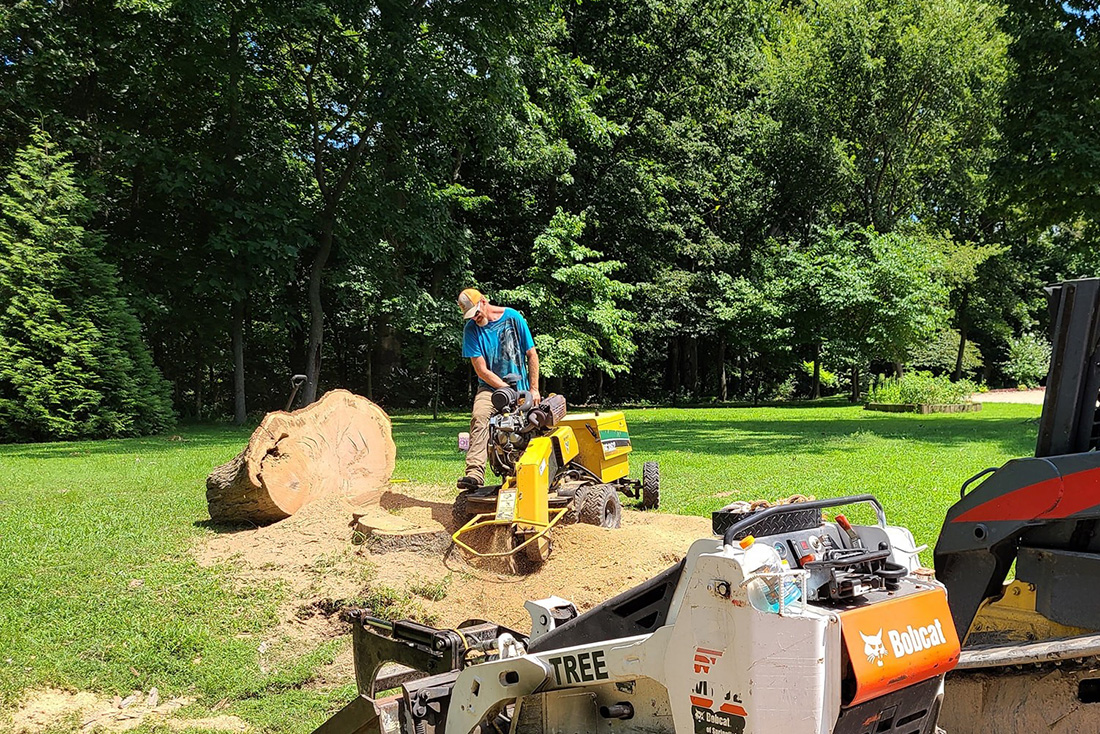 MadCow Tree Service Stump grinding after tree removal - Alton, IL
