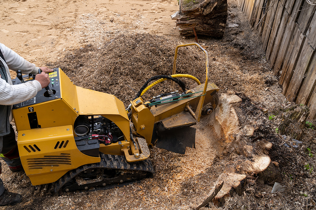 A large wooden stump is milled with a yellow stump grinder - Alton, IL