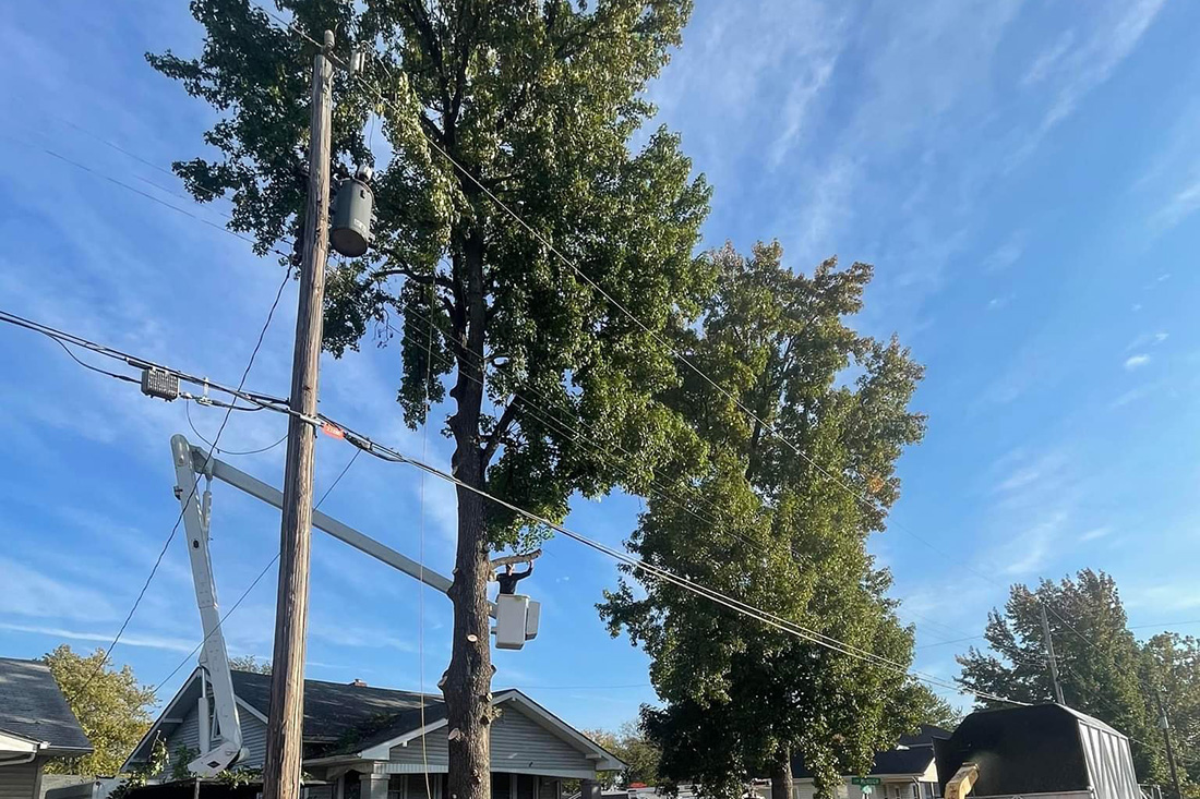 MadCow Tree Service - hazardous tree removal in progress, trimming tree dangerously close to set of power lines in a residential area - Alton, IL