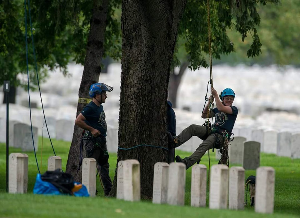 Trees for Heroes program, tree service workers providing tree maintenance in military cemetery - Alton, IL