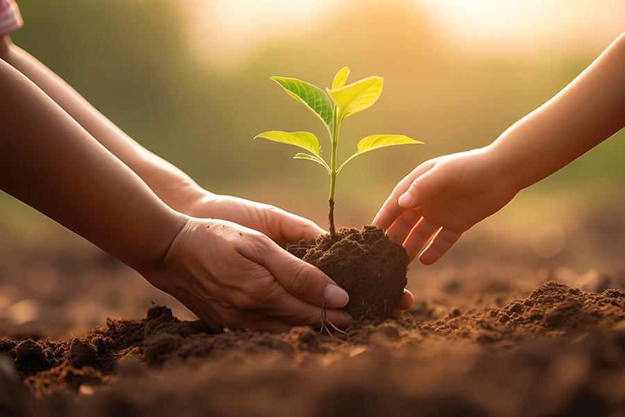 The Relationship Between Soil Health & Tree Vitality