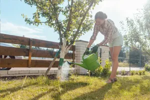 MadCow Tree Service—A young woman in her garden watering a tree in her Granite City, IL yard.