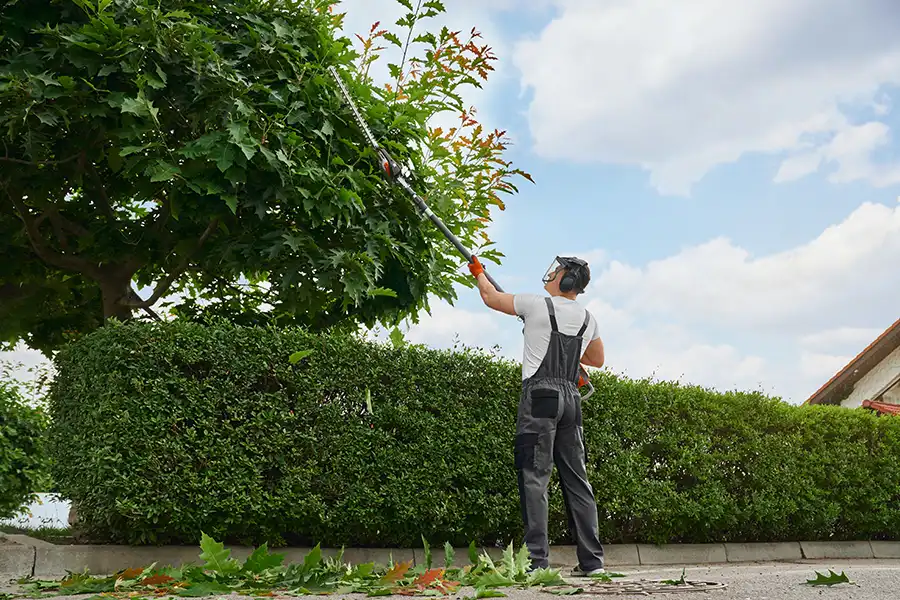Madcow Tree Service—A professional arborist in overalls, a protective mask, and gloves pruning trees outdoors in Edwardsville, IL.