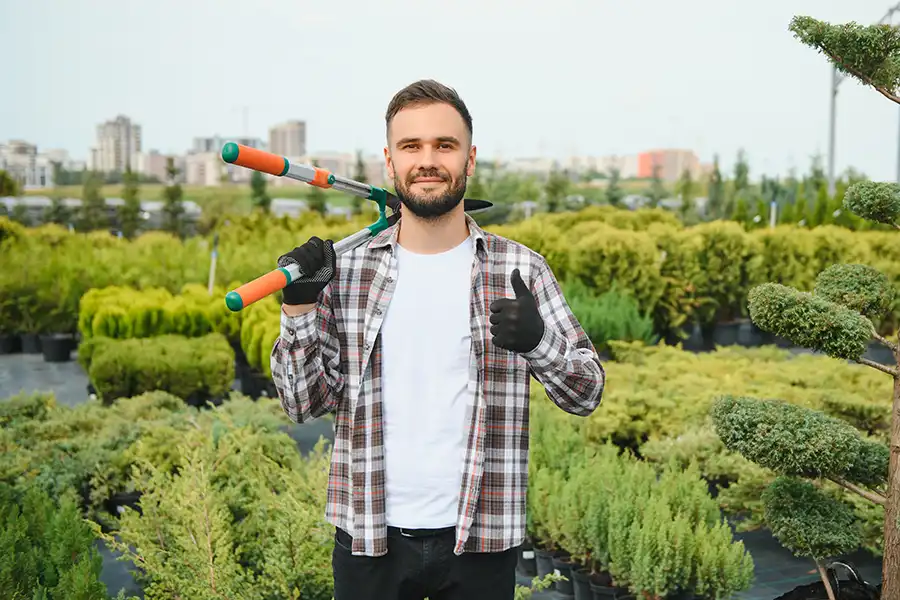 DIY vs. Professional Tree Care: What You Need to Know