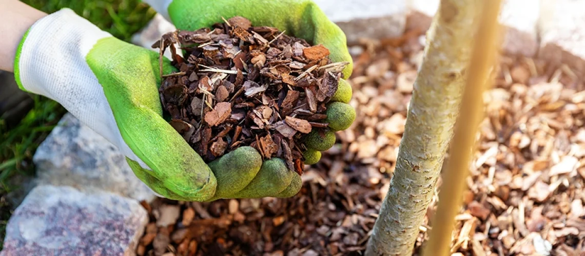 Mulching the flowerbed around a tree with pine tree bark mulch in Alton, IL.