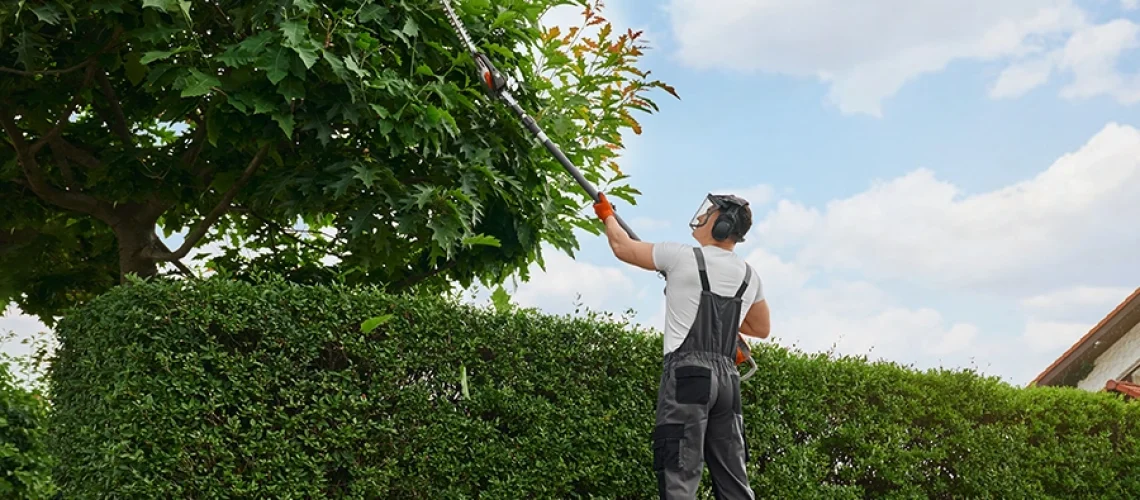 Back view of a professional arborist using a trimmer to prune a tree in Alton, IL.